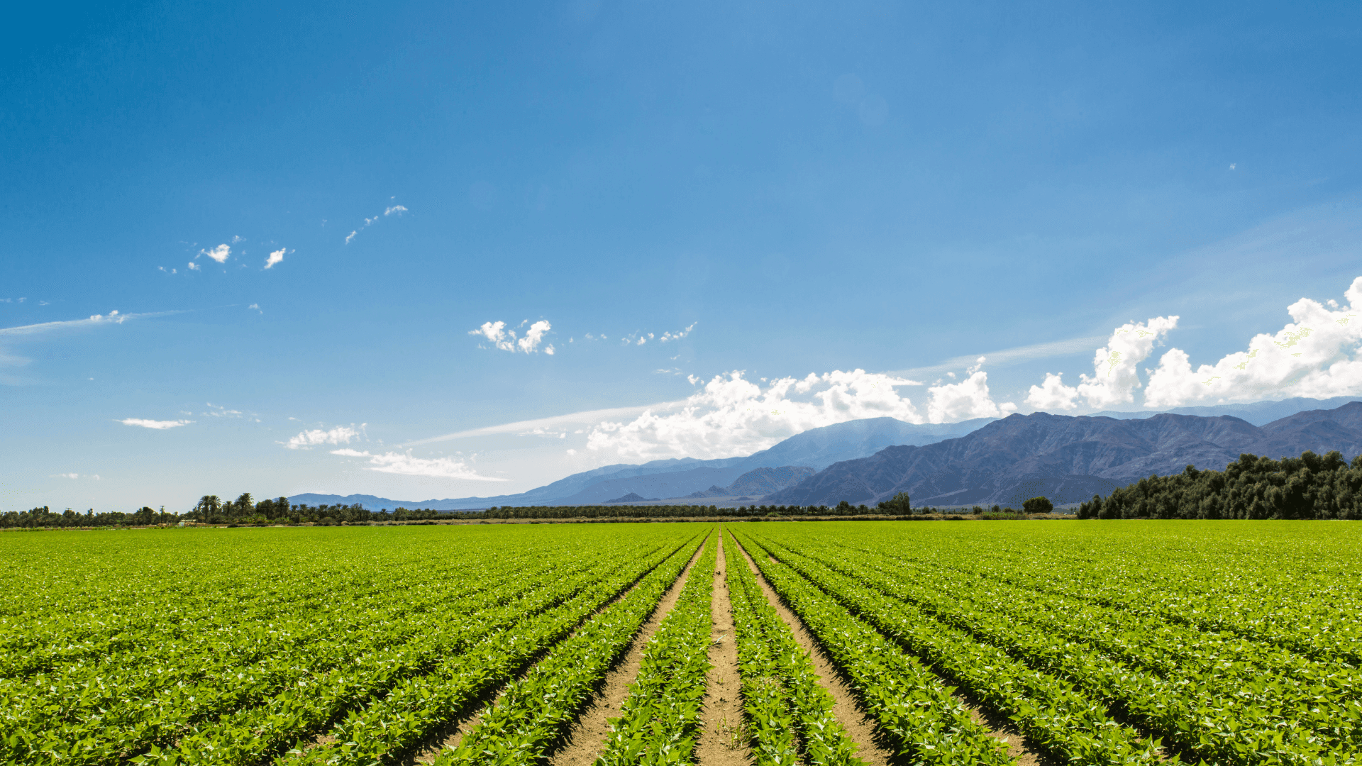 Two Ton Farm field and agricultural land